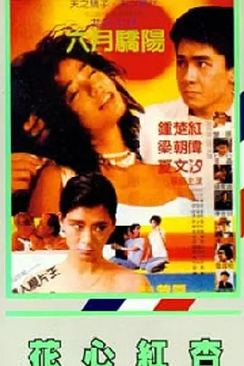 短视频在线观看高清完整版